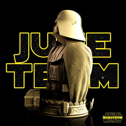 Darth Vader Star Wars themed 3D Bust Sculpture by SW3D