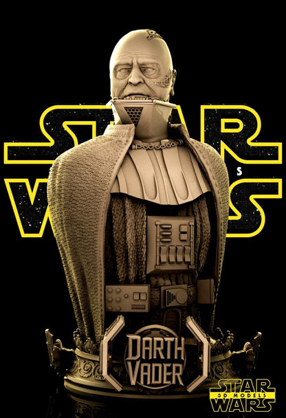 Darth Vader Star Wars themed 3D Bust Sculpture by SW3D