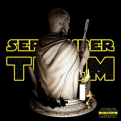 Princess Leia Star Wars themed 3D Bust Sculpture by SW3D