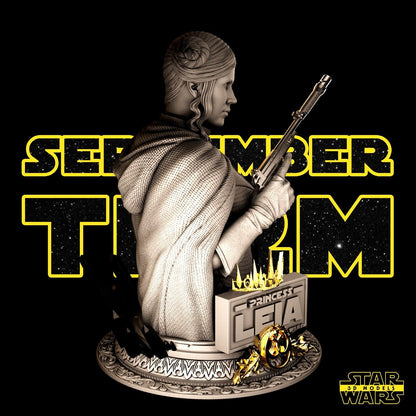 Princess Leia Star Wars themed 3D Bust Sculpture by SW3D