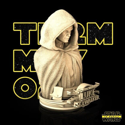 Luke Skywalker Star Wars themed 3D Bust Sculpture by SW3D