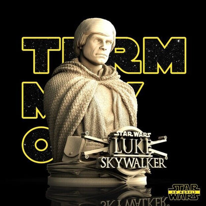 Luke Skywalker Star Wars themed 3D Bust Sculpture by SW3D