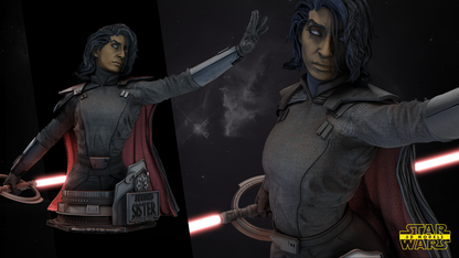 Second Sister Star Wars themed 3D Bust Sculpture by SW3D