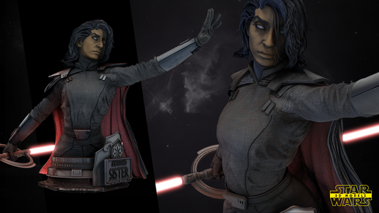Second Sister Star Wars themed 3D Bust Sculpture by SW3D