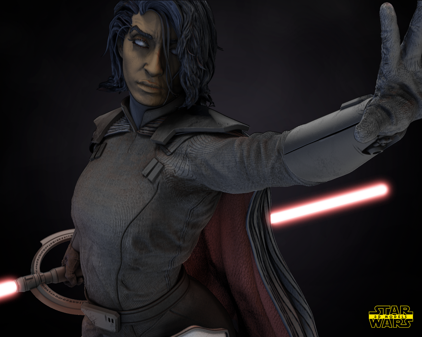 Second Sister Star Wars themed 3D Bust Sculpture by SW3D