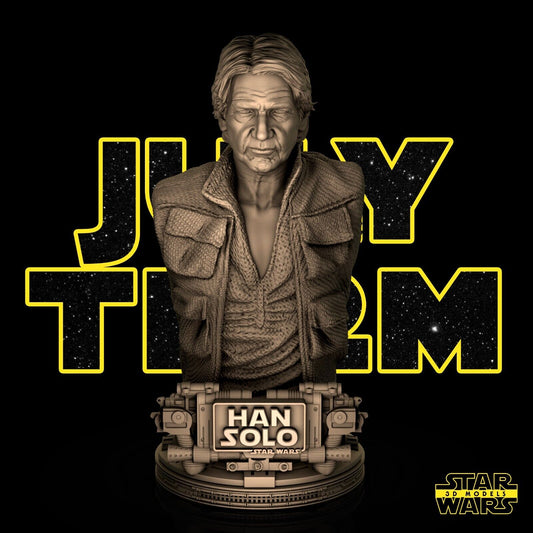 Han Solo Star Wars themed 3D Bust Sculpture by SW3D