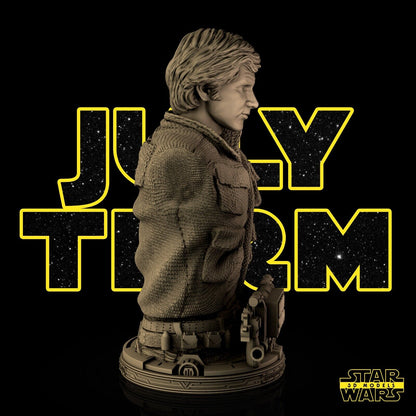 Han Solo Star Wars themed 3D Bust Sculpture by SW3D