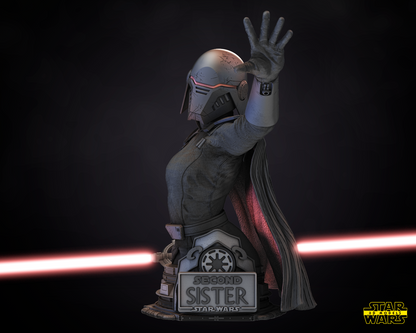 Second Sister Star Wars themed 3D Bust Sculpture by SW3D