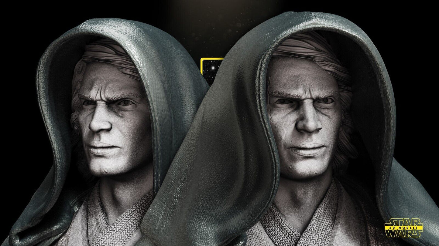 Anakin w/Vader Mask Star Wars themed 3D Bust Sculpture by SW3D