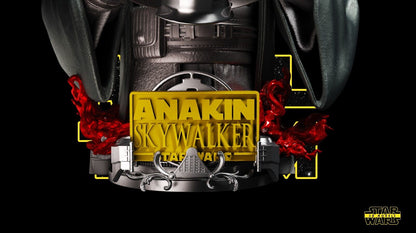 Anakin w/Vader Mask Star Wars themed 3D Bust Sculpture by SW3D