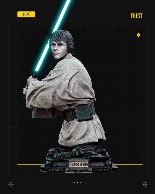 New Hope Luke Posed Star Wars themed 3D Bust Sculpture by SW3D