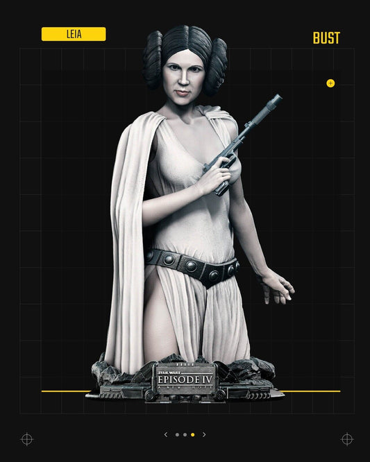 New Hope Princess Leia Posed Star Wars themed 3D Bust Sculpture by SW3D