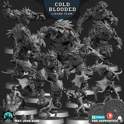 Lizardmen Cold Blooded Fantasy Football Team  - Realm of Paths