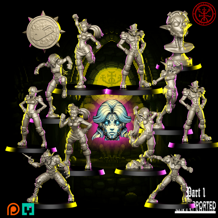 Elven Cyberpunk team themed Fantasy Football Team TLM Torchlight THE ZONERUNNERS