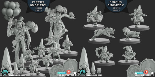 Gnome 'Circus Gnomedy' Fantasy Football Team  - ROP