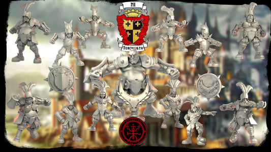 Imperial Noble Knights of Ni Fantasy Football team - TLM