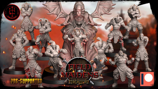 Amazon Field Maidens Fantasy Football team -
