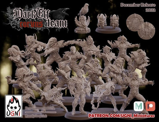 Dark Elf Corvis Fantasy Football Team by