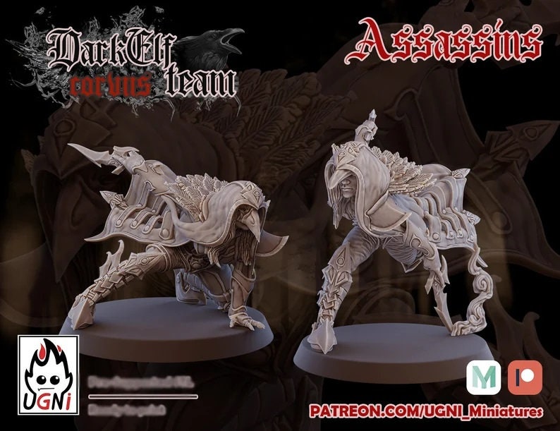 Dark Elf Corvis Fantasy Football Team by