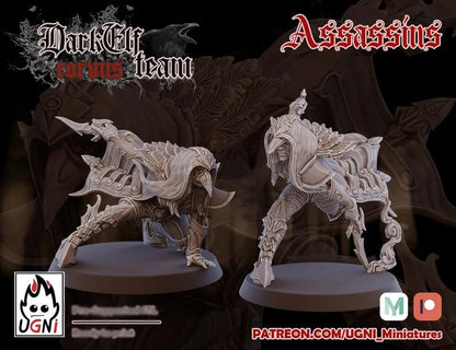 Dark Elf Corvis Fantasy Football Team by