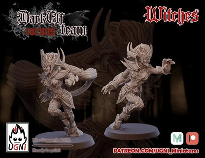 Dark Elf Corvis Fantasy Football Team by