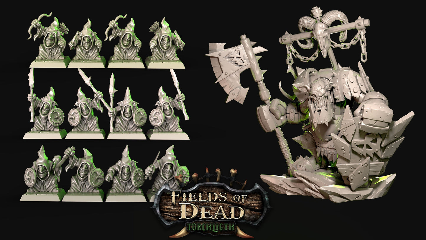 D&D Fantasy RPG gaming set -  studio miniatures Fields of Dead