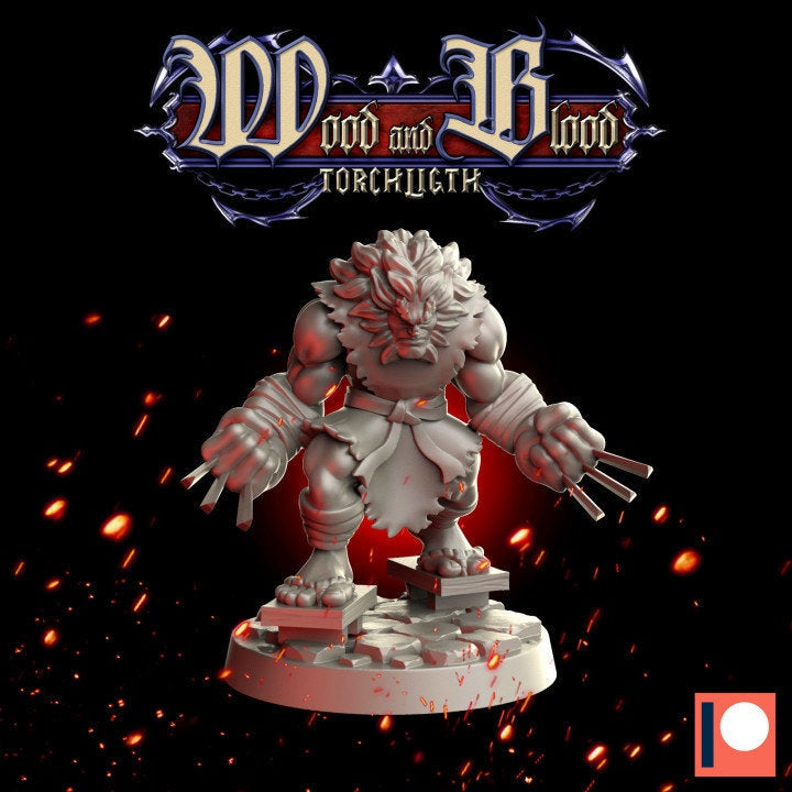 Fantasy Dungeons Druid -
