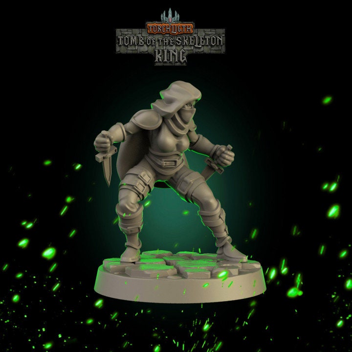 Fantasy Dungeons Rogue -