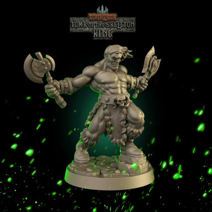 Fantasy Dungeons Barbarian Hero -