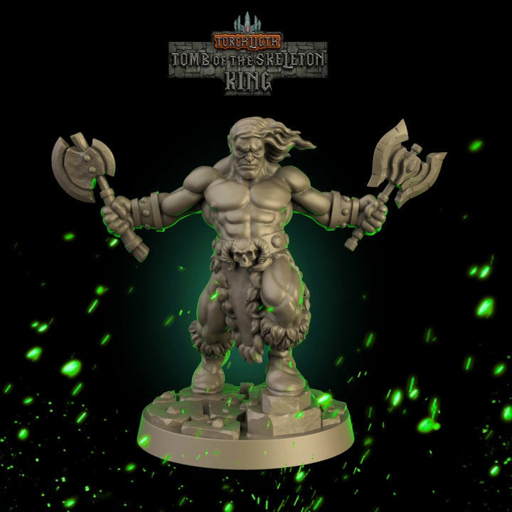 Fantasy Dungeons Barbarian Hero -