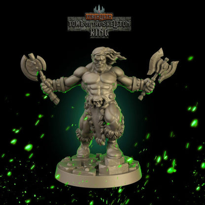 Fantasy Dungeons Barbarian Hero -