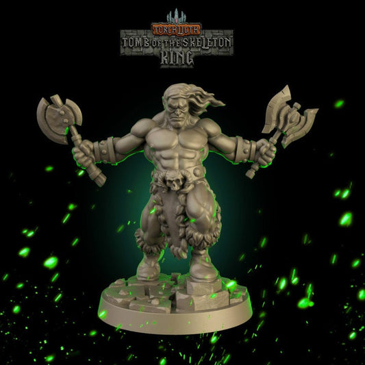 Fantasy Dungeons Barbarian Hero -