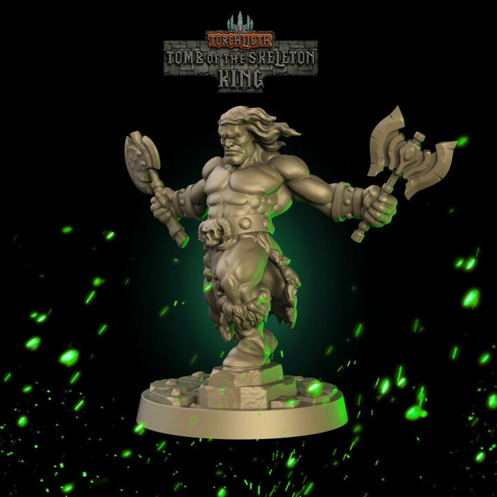 Fantasy Dungeons Barbarian Hero -