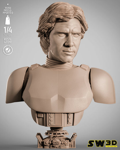 Han Solo Stormtrooper Portrait Bust Star Wars themed 3D Bust / Sculpture by SW3D