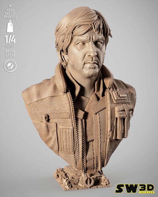 Cassian Andor Portrait Bust Star Wars themed 3D Bust / Sculpture by SW3D
