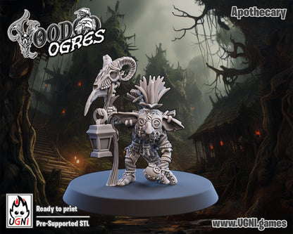 Ogre/Snots Apothecary, Coach & Cheerleader - Support Staff Fantasy Football UGNI