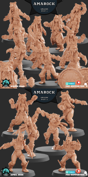 AMAZON - AMAROCK Fantasy Football Team  - Realm of Paths