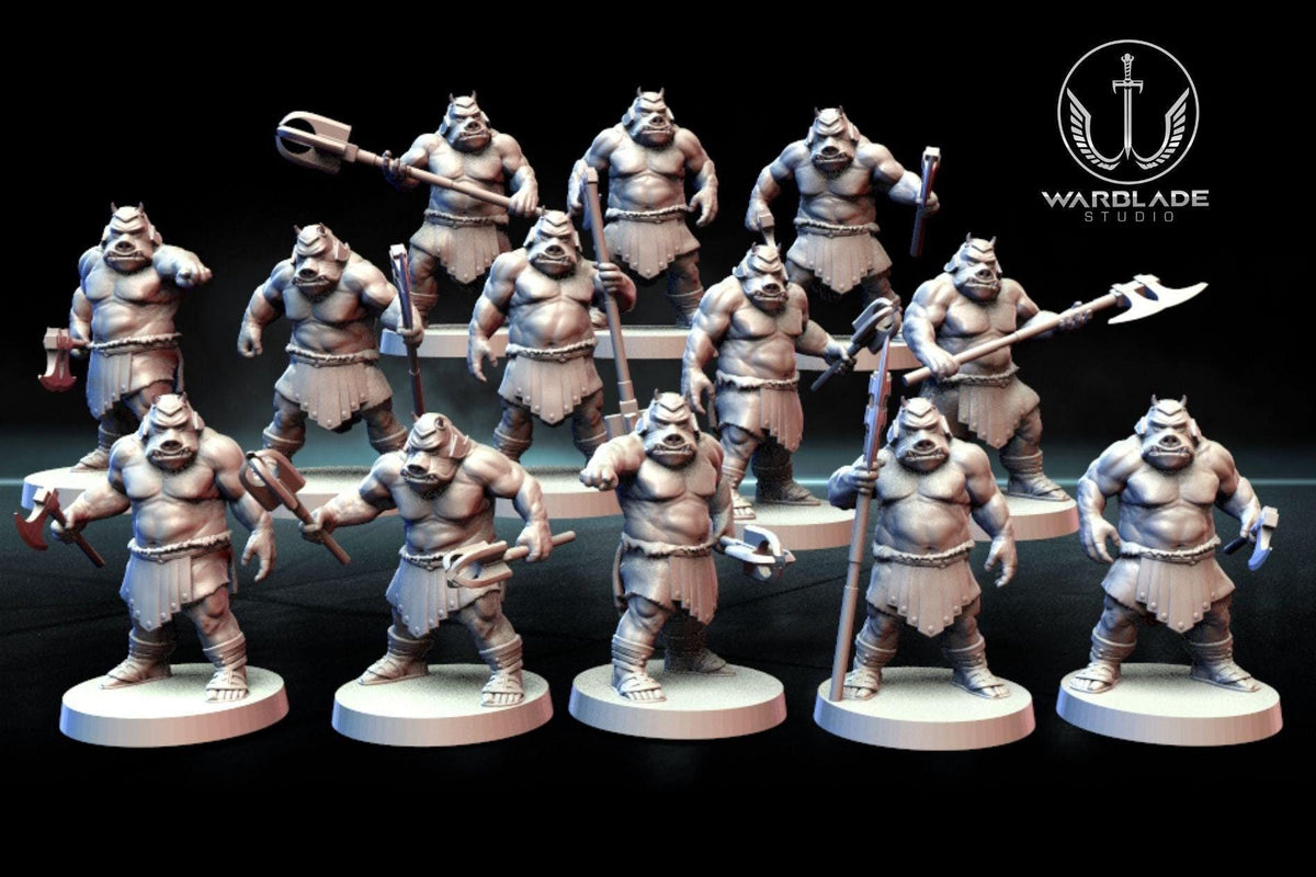 13 x gamorrean proxy - star wars legion shatterpoint compatible warblade