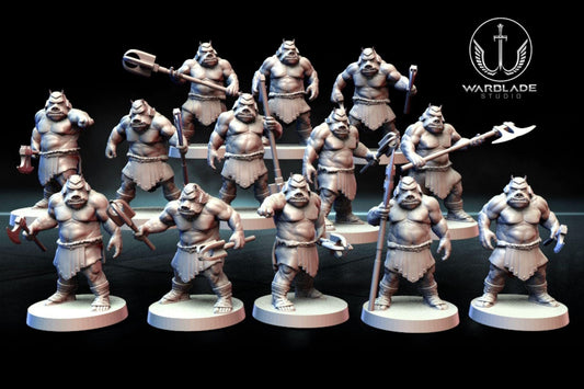 13 x gamorrean proxy - star wars legion shatterpoint compatible warblade