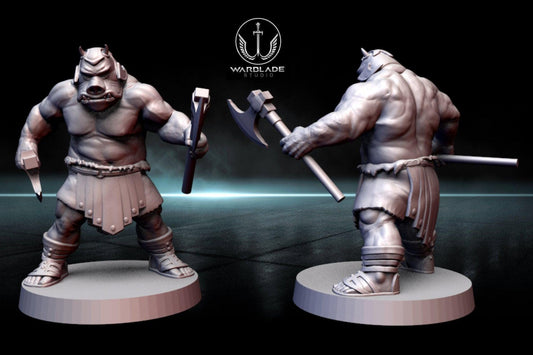 13 x gamorrean proxy - star wars legion shatterpoint compatible warblade