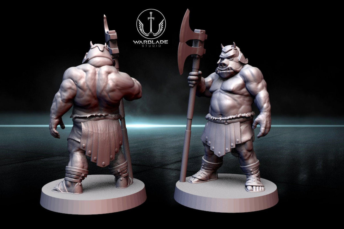 13 x gamorrean proxy - star wars legion shatterpoint compatible warblade