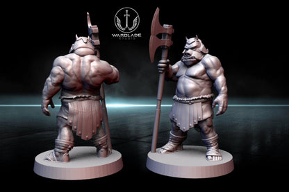 13 x gamorrean proxy - star wars legion shatterpoint compatible warblade