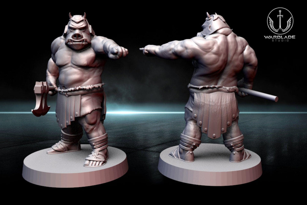 13 x gamorrean proxy - star wars legion shatterpoint compatible warblade