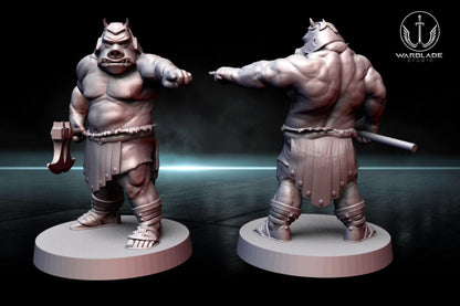 13 x gamorrean proxy - star wars legion shatterpoint compatible warblade