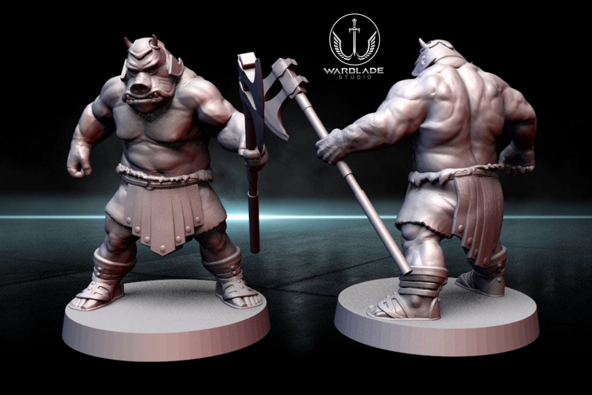 13 x gamorrean proxy - star wars legion shatterpoint compatible warblade