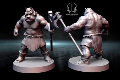 13 x gamorrean proxy - star wars legion shatterpoint compatible warblade