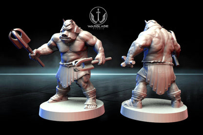 13 x gamorrean proxy - star wars legion shatterpoint compatible warblade