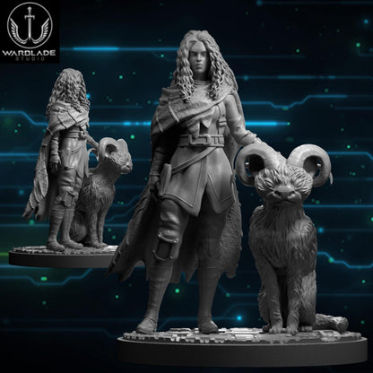 May 2025 collection - star wars legion shatterpoint compatible warblade