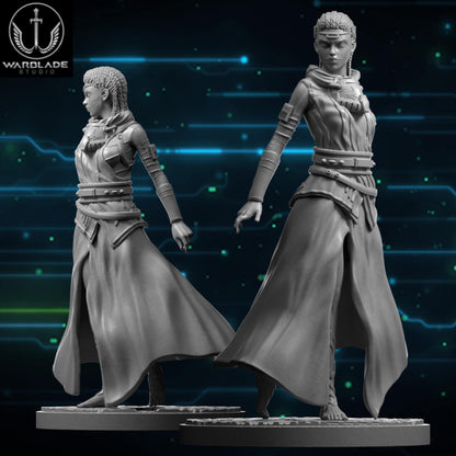 June 25 collection - star wars legion shatterpoint compatible warblade