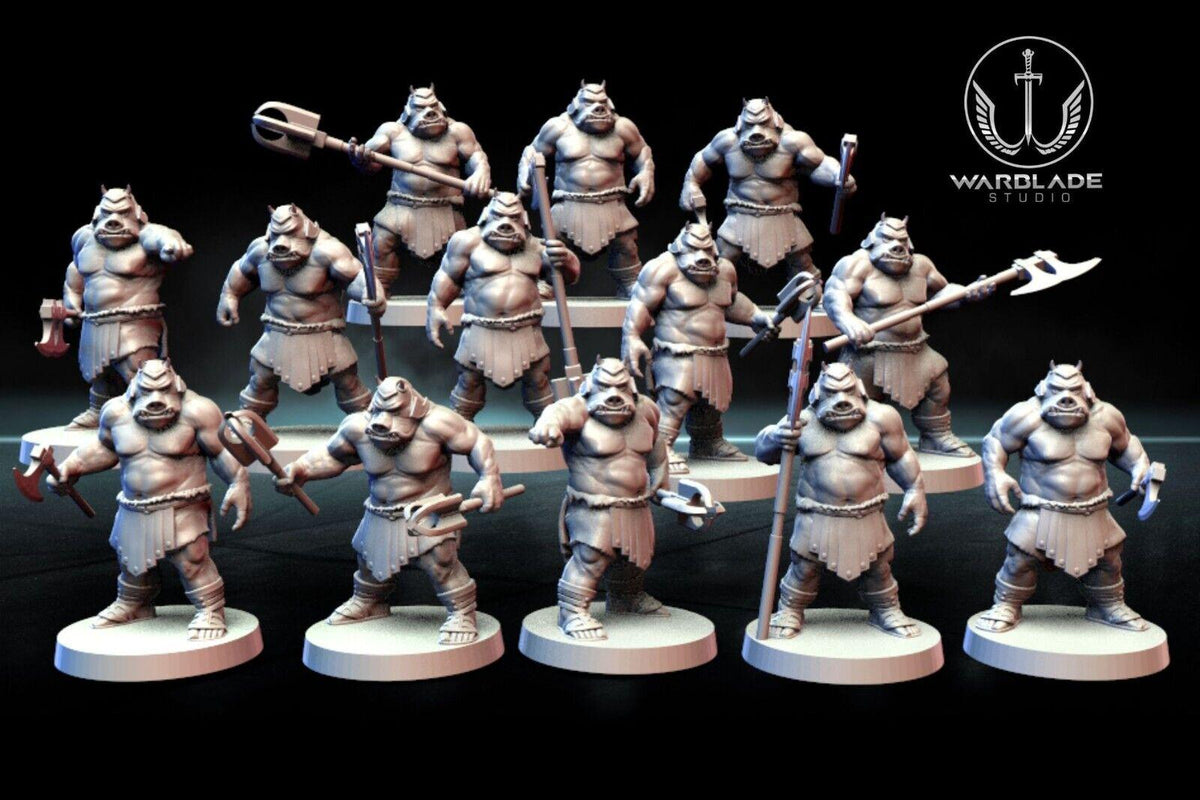 13 x gamorrean proxy - star wars legion shatterpoint compatible warblade